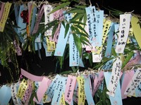 Tanabata Fest